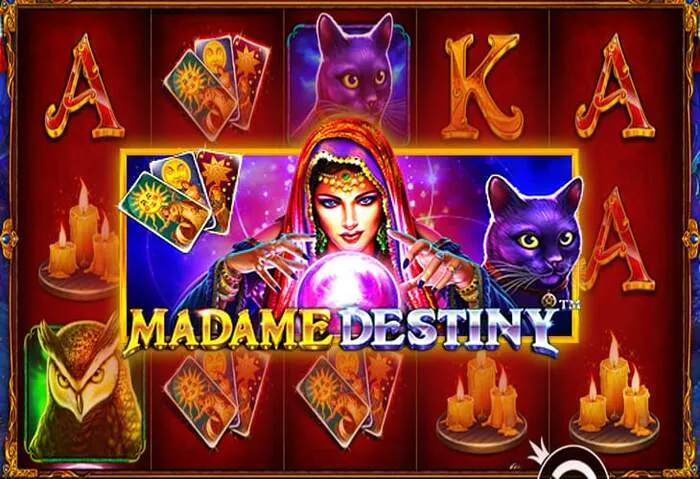Diverse range of live casino games and virtual tables at Morospincasino Italia, the trusted online casino for Italian players.
